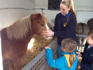 Our trip to the Ark Farm -April 2017